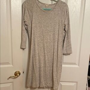 J. Crew Light Gray Long Sleeve Dress